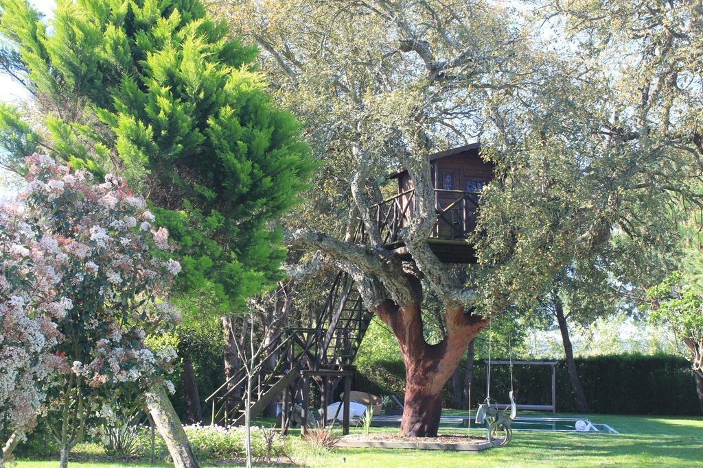 הוילה Santo Estevao  Casa Do Sobro מראה חיצוני תמונה